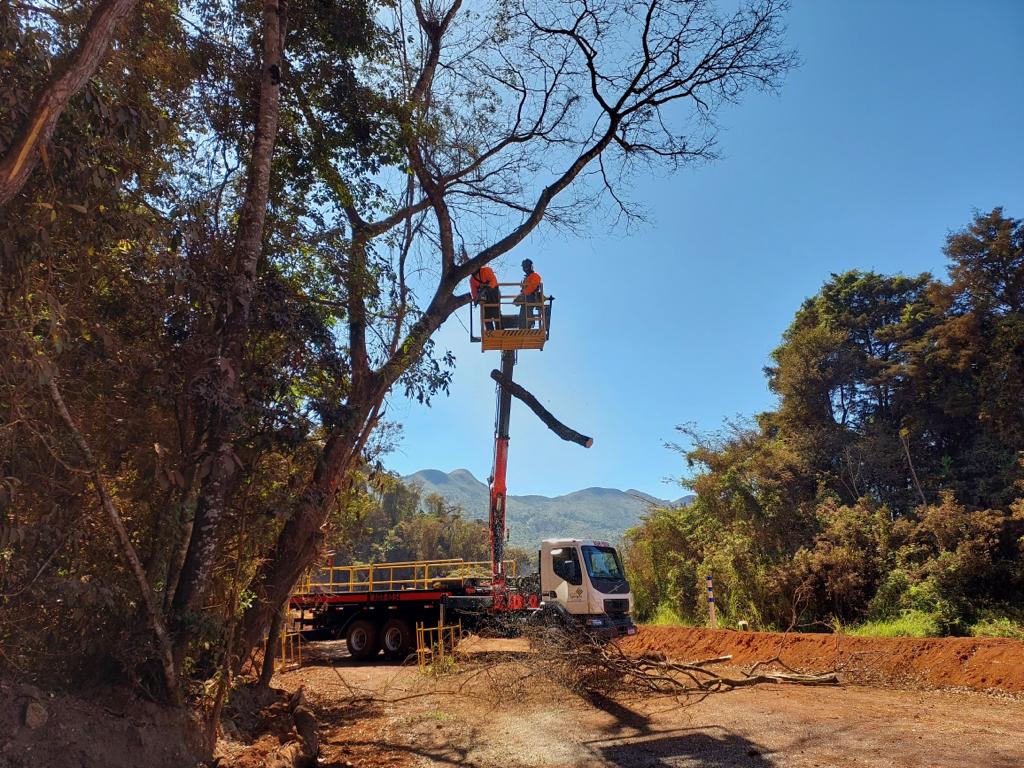 Nosso time está treinado e nossos equipamentos prontos para realização de nossas atividades de corte de árvores em áreas de difícil acesso.