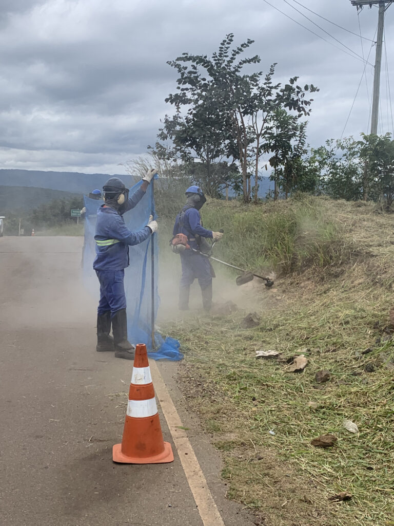 Roçada em rodovias