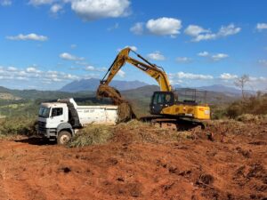 Supressão Vegetal e Corte de Árvores em áreas de mineração